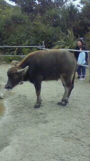 c0235348_1405750.jpg