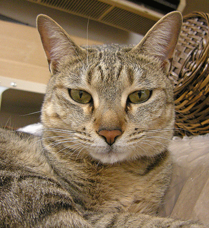 a0001354_22483241.gif