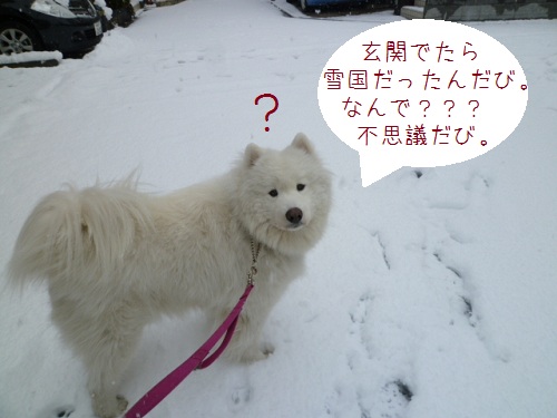 ◆軽井沢で雪三昧～えぴそーど・Ⅱ◆_a0166954_063382.jpg