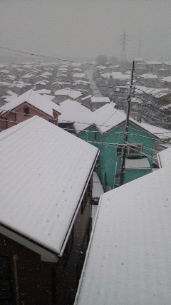 d0038458_11162392.jpg