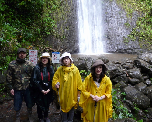 MANOA FALLS TRAIL_a0132260_1541383.jpg