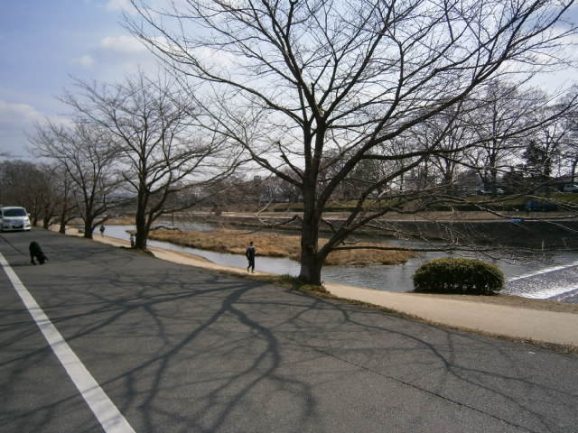 c0128862_1742179.jpg