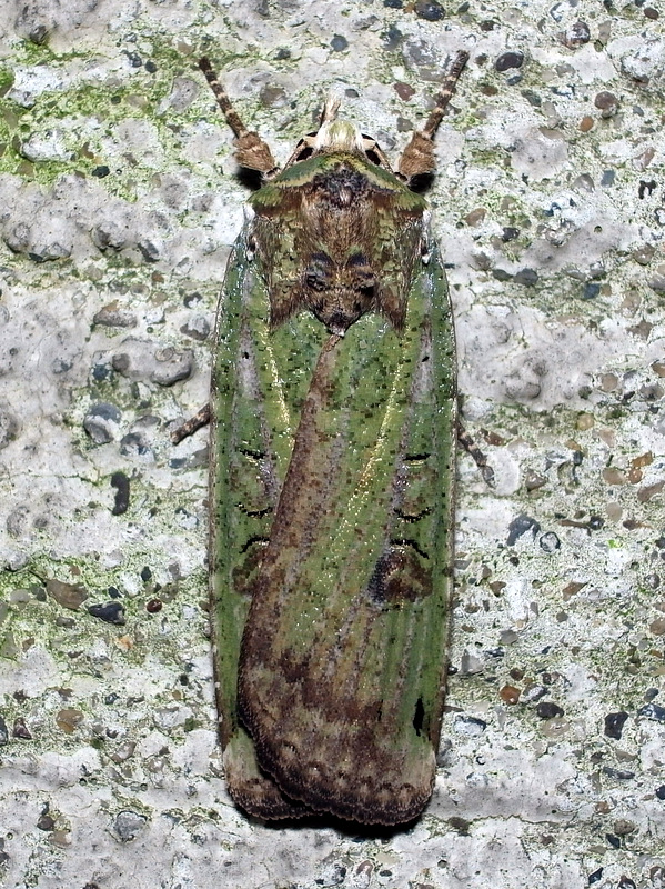 b0130166_20113443.jpg