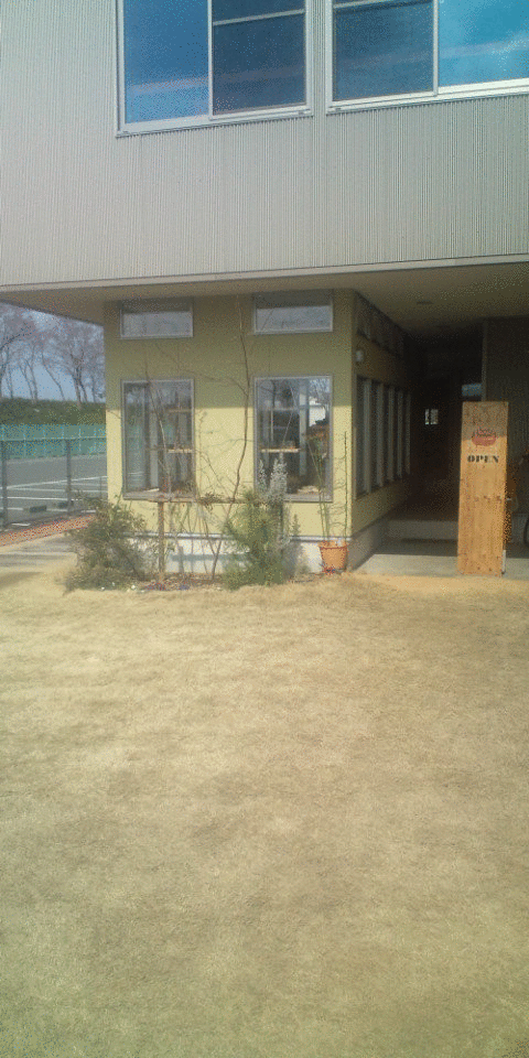 c0230568_22264297.gif
