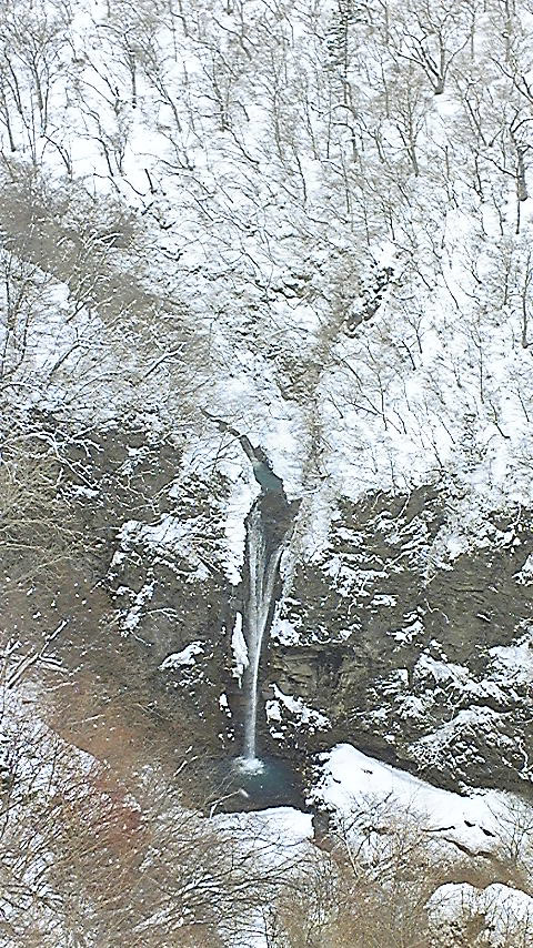 e0118274_23283934.jpg
