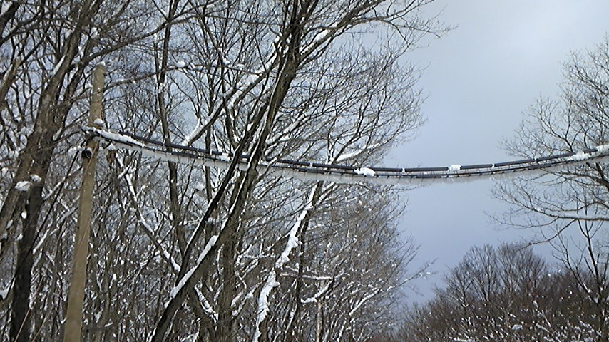 e0118274_23352019.jpg