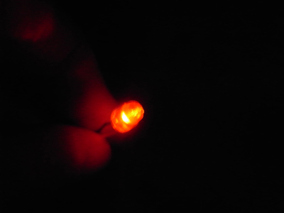 レモンの灯_a0180681_4154778.jpg