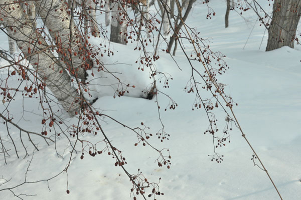 f0212586_82853100.jpg
