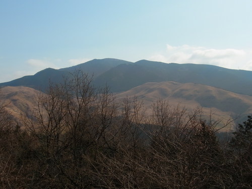 a0214490_20291274.jpg