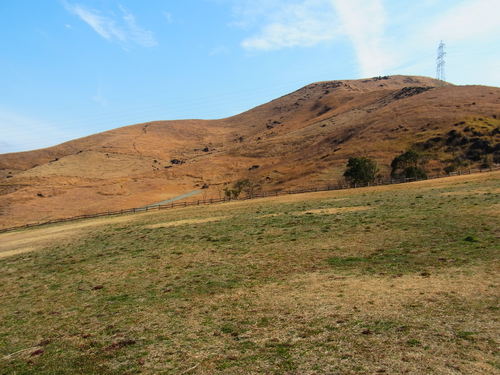 a0214490_2032132.jpg