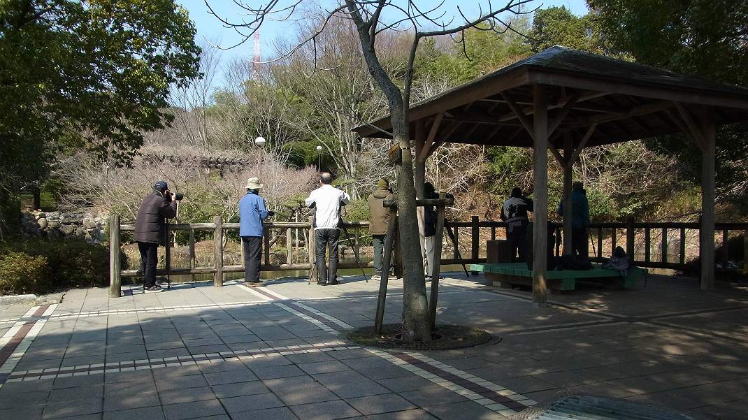 a0152692_18162194.jpg