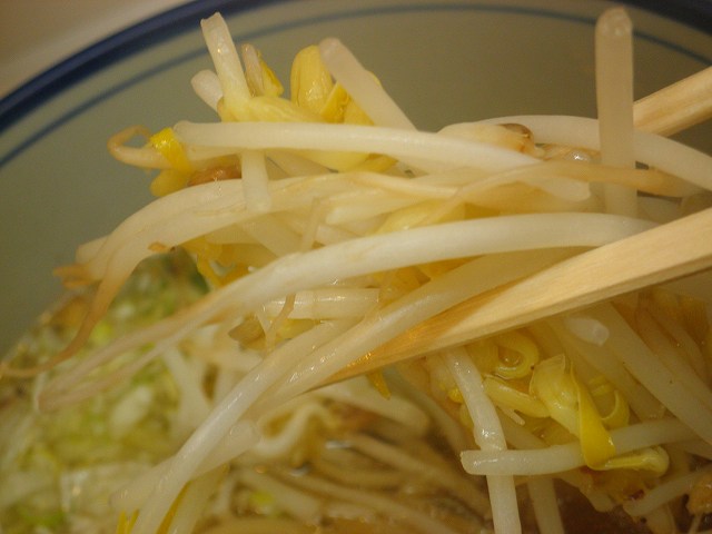 c0118393_1025211.jpg