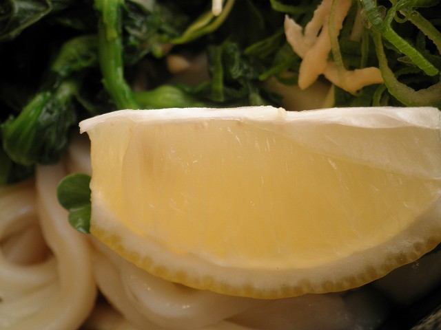 c0118393_8481683.jpg