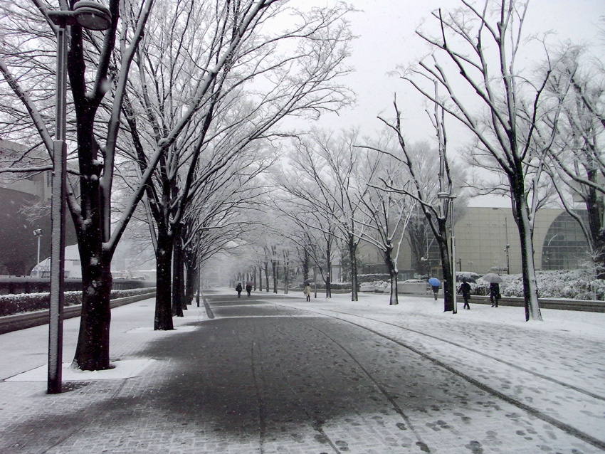 d0134896_1757192.jpg
