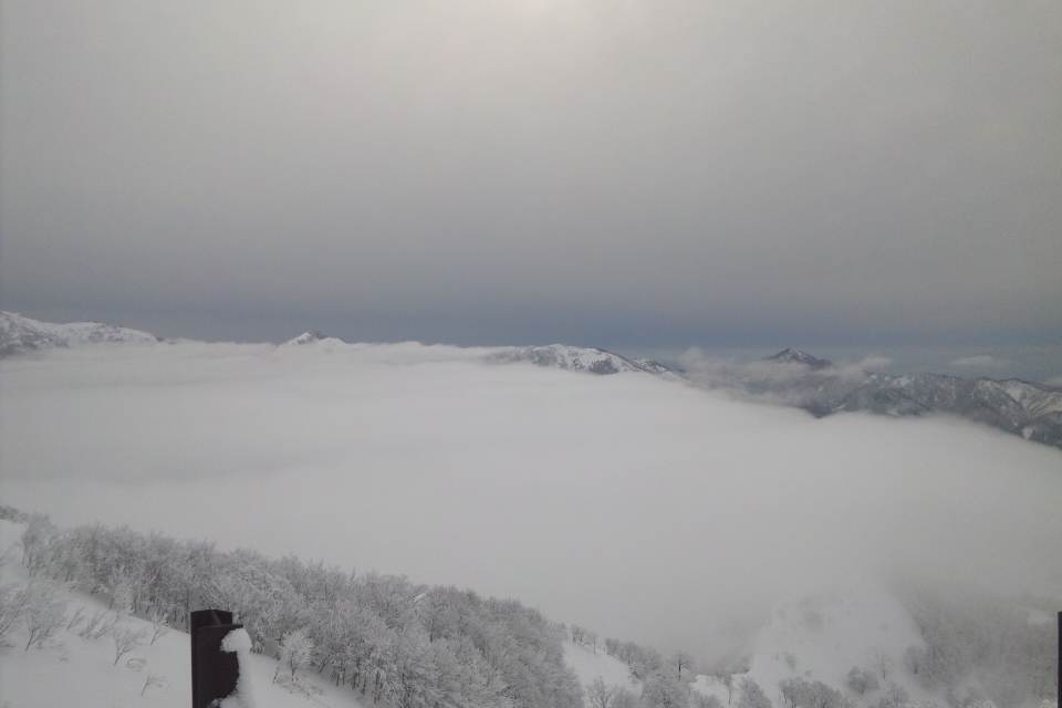 d0214301_1874350.jpg