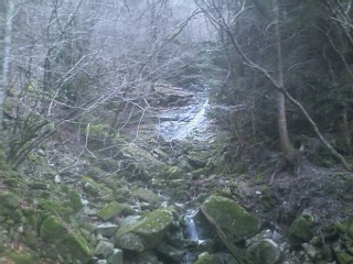 c0242706_10421615.jpg