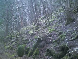 c0242706_10423449.jpg