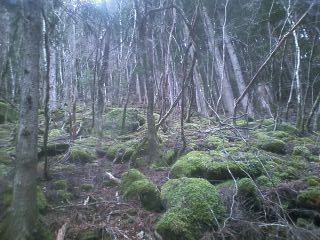 c0242706_10425554.jpg