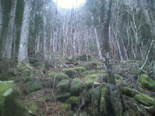 c0242706_10431065.jpg