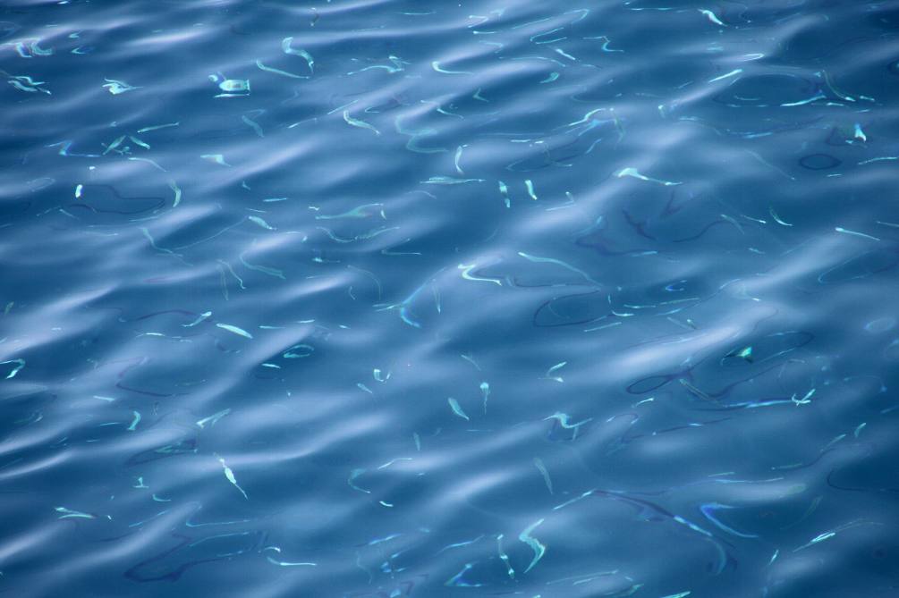 e0003910_11725.jpg