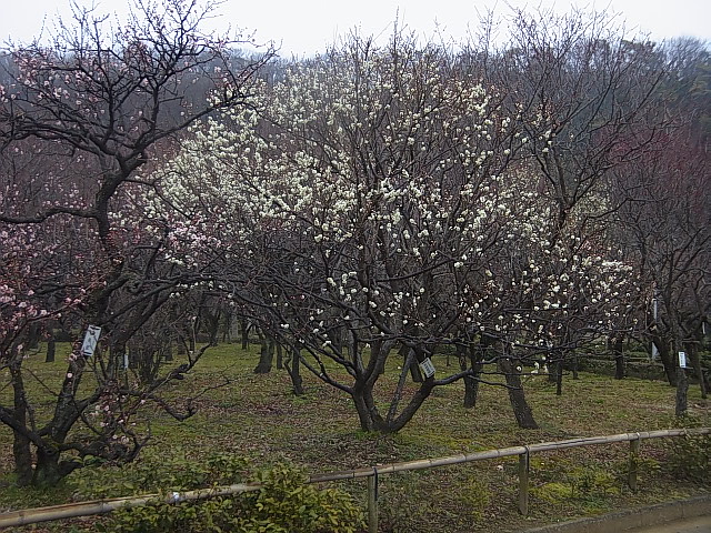 e0256122_173302.jpg