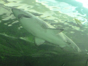 c0076823_21503550.jpg