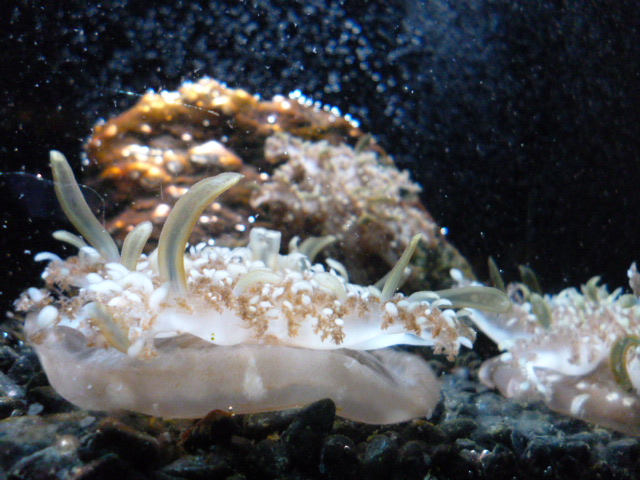 c0076823_21511887.jpg