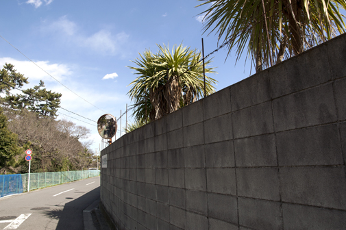 b0010426_1713622.jpg
