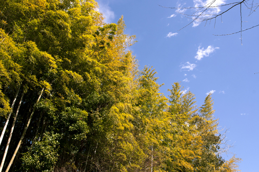 b0010426_1743089.jpg