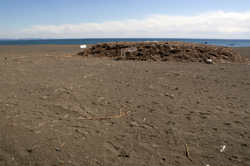 b0010426_17844100.jpg