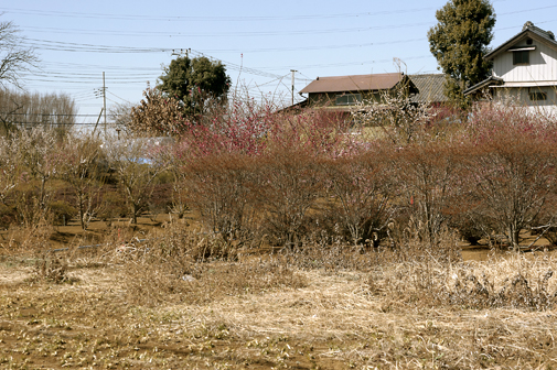 b0010426_223231100.jpg