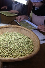 お味噌作り_f0120026_15402259.jpg