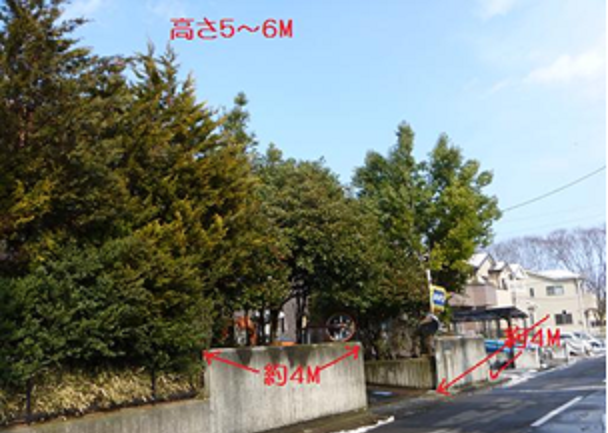 f0031037_2011253.png