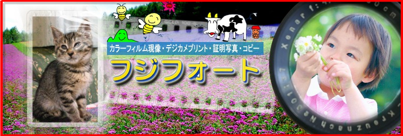 証明写真帯広 フジフォート 帯広市西12条南3丁目2-1 フクハラ西12条店_d0247446_16135128.png