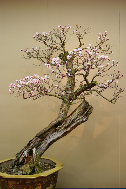 f0152550_16512455.jpg
