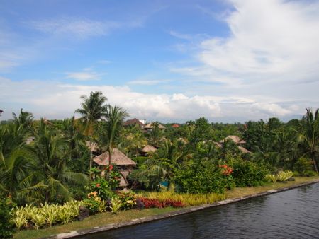 b0193060_11504835.jpg