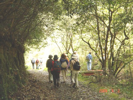 みさき里山クラブとの交流会 in 孝子の森_c0108460_1492724.jpg