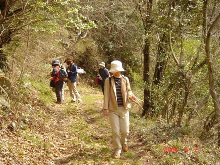 みさき里山クラブとの交流会 in 孝子の森_c0108460_1531548.jpg