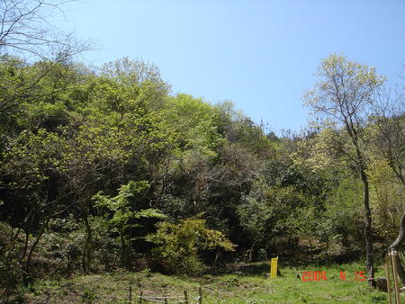 c0108460_2311652.jpg
