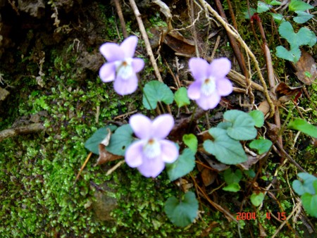 c0108460_23181899.jpg