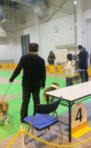 連合展_f0126965_2254268.jpg