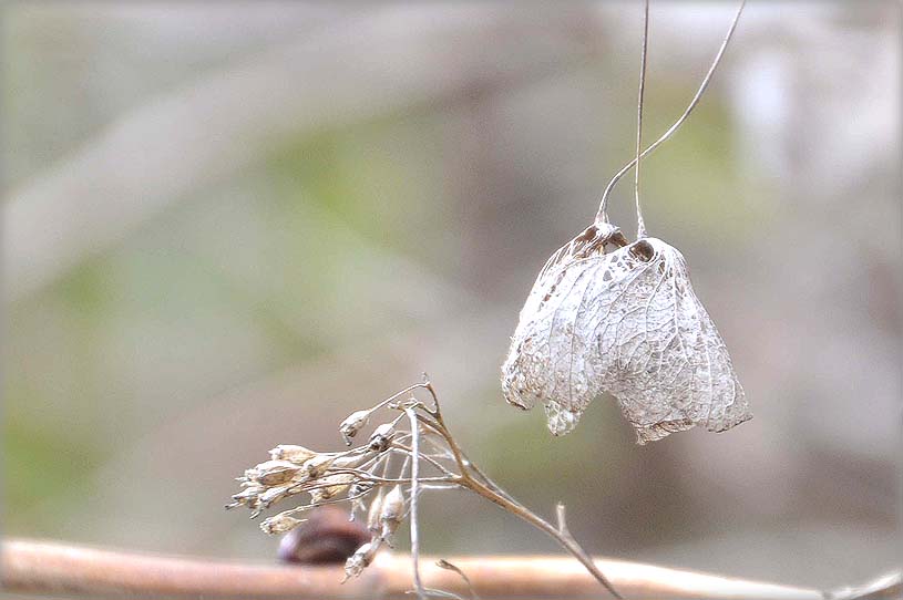 また雨です・・・_f0198771_23583324.jpg