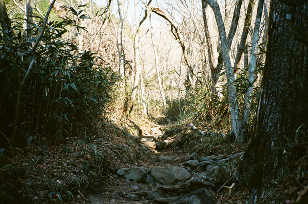 a0207672_2232944.jpg