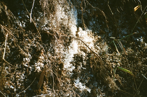 a0207672_2233377.jpg