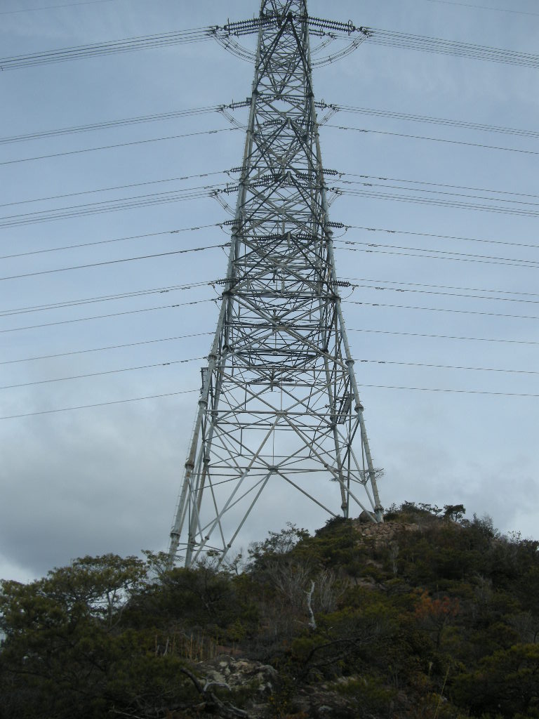 b0185573_2015302.jpg