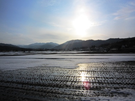 一雨ごとに春の気配が_f0077877_22271111.jpg