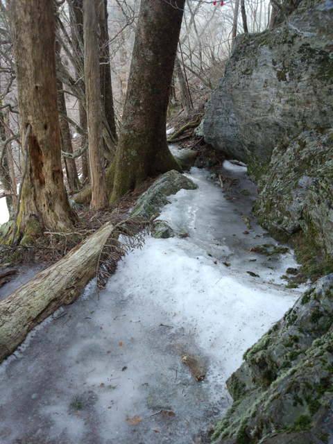 f0064278_1324092.jpg