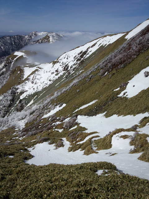 f0064278_1324424.jpg