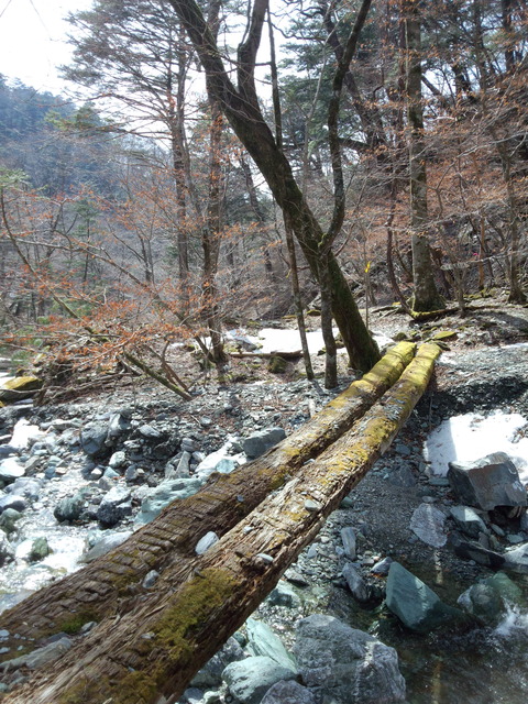 f0064278_13283665.jpg