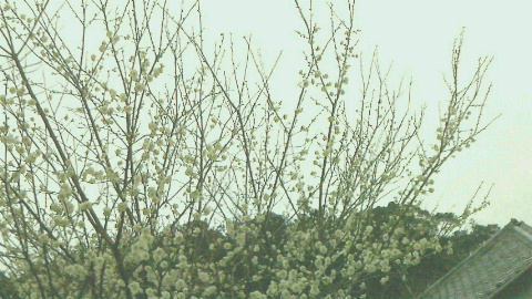 f0215179_22503670.jpg
